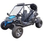 tm-cheetah-200x-blue.jpeg