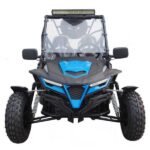 tm-cheetah-200x-blue.jpeg