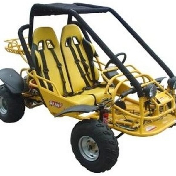 Sahara 150 Go Kart