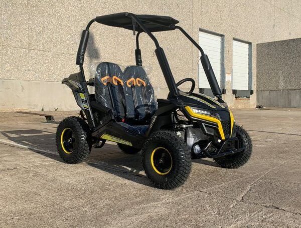 Trailmaster Cheetah 6 163cc Youth Go-Kart, 4-Stroke Single Cylinder, Air Cooled, Horizontal OHV Engine, Remote Start/Kill