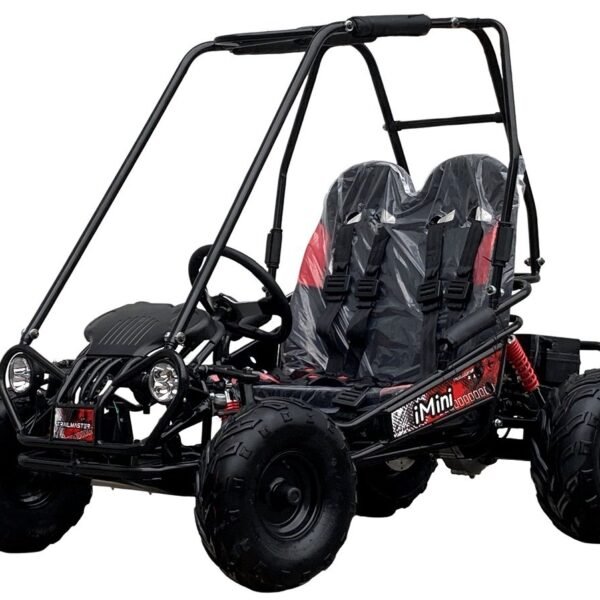 TrailMaster iMini Kids Electric Go-Kart, 48V 20Ah Battery, Fully Automatic with Reverse, LED Headlight