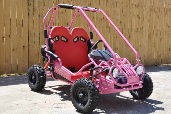 RILY Talkin' bout Love XL パーカー ネオンピンク TrailMaster Mini XRX+ Go-Kart Buggy - 161 Powersports