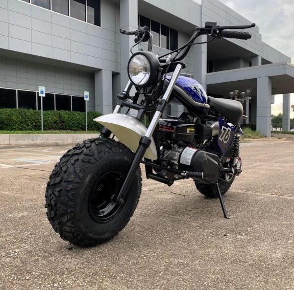 TrailMaster Hurricane 200X Mini Bike, 196cc OHV Engine, 4-Stroke, Single Cylinder, Powerful Performance, Headlight for Night Riding