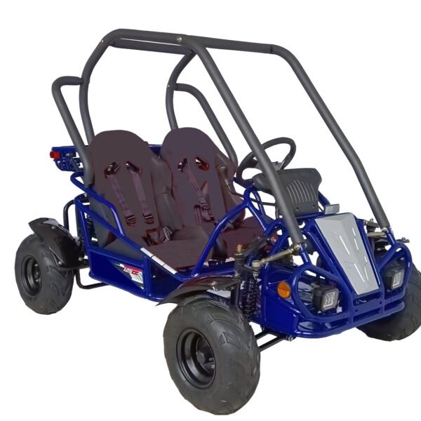 RPS Spyder 125cc Off-Road Go Kart, Fully Automatic Transmission, Hydraulic Disc Brake, Electric Start