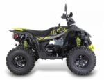 TGB_Target_600_Feel_The_Thrill_ATV_Vehicle_Engine_2.jpg