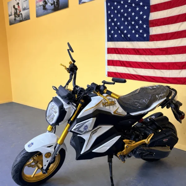 Vitacci VTR X200 Sport (In Store)