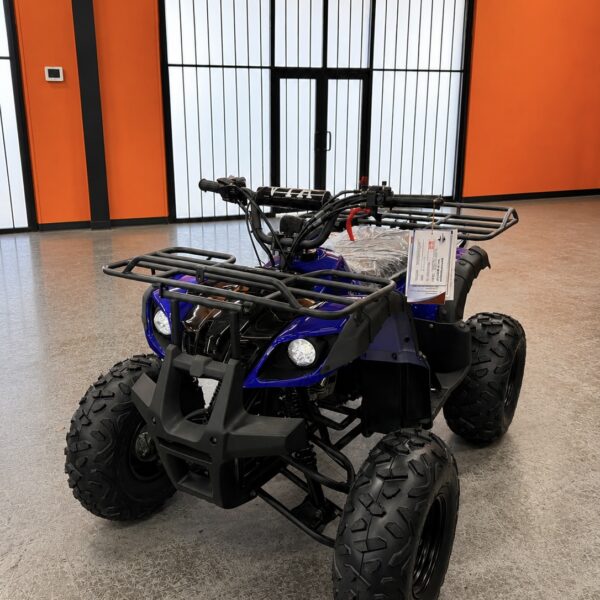 CRT 125UT ATV (IN STORE)