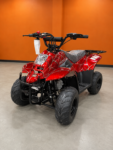 CRT 110CC ATV (In Store)