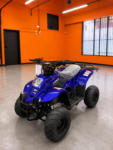 CRT 110CC ATV (In Store)