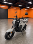 ICEBEAR TIGER 175 (PMZ200-Z1) (IN STORE)