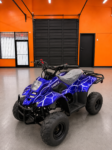 CRT 110CC ATV (In Store)