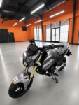 RPS Condor 150cc (LY150-2B) (In Store)