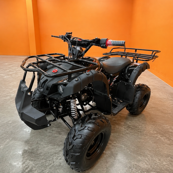 Trailmaster Mini 125R Utility (In Store)