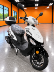 Icebear Rocket 50cc (PMZ50-4) (In Store)