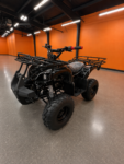 Trailmaster Coolster 3125R  (In Store)