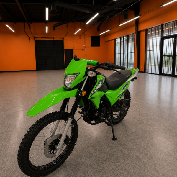 RPS HAWK 250 (IN STORE)