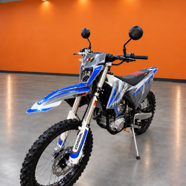 TrailMaster JHL LX300 283cc EFI Dirt Bike (In Store)