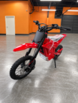 Throne Cycle Strike Shadow 48V (IN STORE)