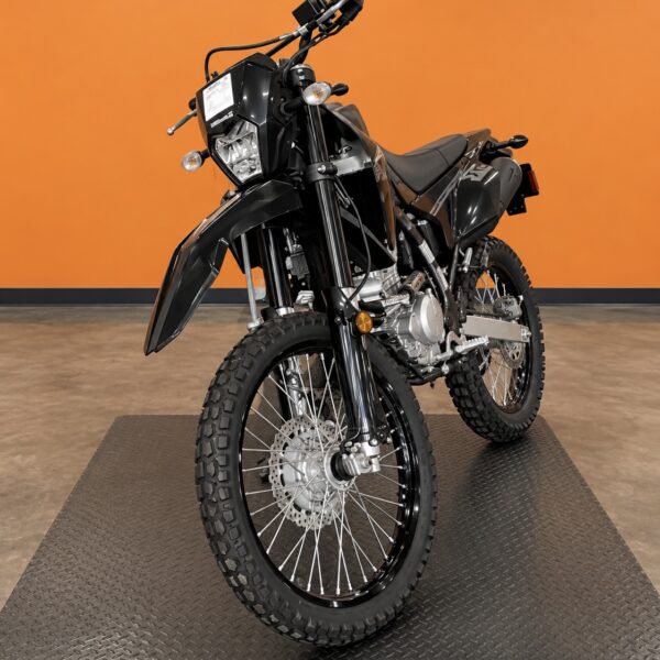 2024 KAWASAKI KLX300FRFNN KLX 300 (In Store)