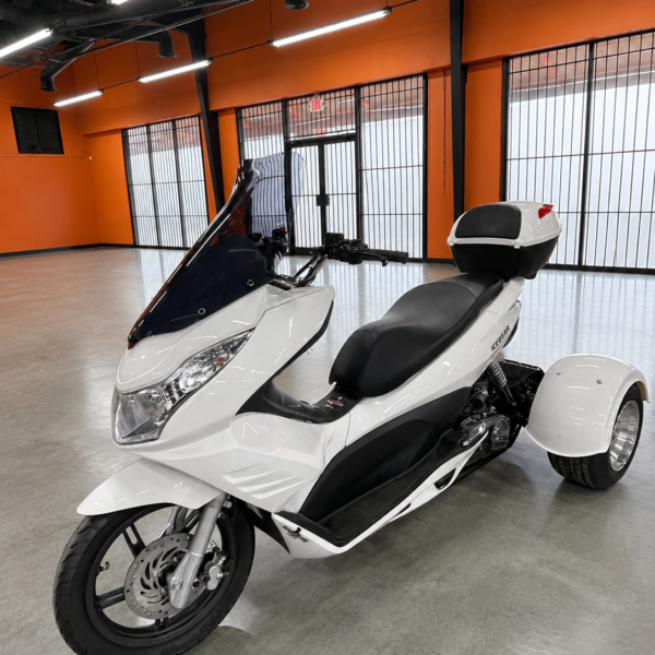 Icebear Q6 50CC (PST50-17) (In Store)