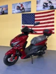 Icebear Flash 150 (In Store)