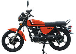 Cruiser