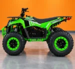 Commander (1)