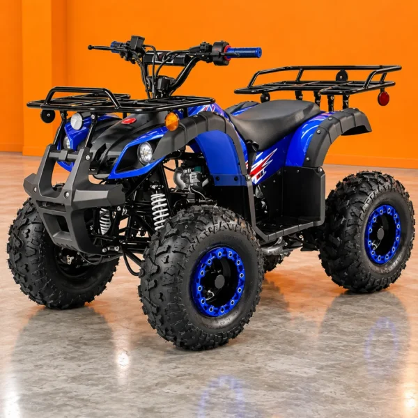 Trailmaster Mini 125R Utility (In Store)