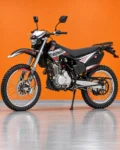 T5 (1)