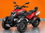 TRIKE X300